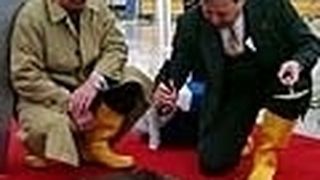  (Archiv: Vogel Business Media)