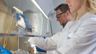 Isooctane and renewable gasoline made from cane juice- and molasses-based isobutanol are expected to be very low in carbon content. (Gevo)