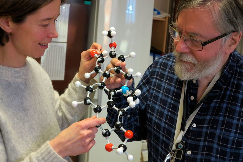 Helle Wangensteen and Karl Egil Malterud studying a structural model of the comparatively simple dihydronitidine molecule, found in the Olon tree and capacle of killing malaria parasites. (Bjarne Røsjø)