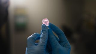 Der 3D-Druck von granularen Doppelnetzwerk-Elastomeren bietet einen unerwarteten Vorteil: eine hohe Beständigkeit gegenüber Bruch und Ermüdung. (Bild: EPFL)