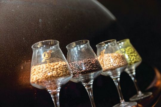 Das Endprodukt Altbier ist eindeutig flüssig, die wesentlichen Zutaten jedoch fest und staubend und explosionsfähig.(Bild:  Ruwac Industriesauger)