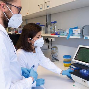 Jun.-Prof. Dr. Neva Caliskan und Matthias Zimmer analysieren die virale Proteinsynthese mithilfe von Fluoreszenzreportern in menschlichen Zellen.(Bild:  HIRI / Britta Grigull)