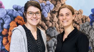 Dr. Elisa Oberbeckmann (l.) und Dr. Marieke Oudelaar erforschen die 3D-Faltung von DNA im Zellkern (Bild: Swen Pförtner / Max-Planck-Institut für Multidisziplinäre Naturwissenschaften)