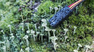 Der Ready-to-Use Feuchte-Sensor hat eine Doppelfunktion: Er misst sowohl die relative Feuchte als auch die Umgebungstemperatur. Das Bild zeigt den HTU(F)3535 mit Kabel. Überall dort, wo die Feuchtigkeit in Verbindung mit der Temperatur eine wichtige Einflussgröße auf Prozessabläufe oder eine unverzichtbare Kontrollinformation darstellt, lassen sich die Feuchtigkeitsmodule ohne großen Aufwand einsetzen. (Amsys)