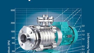 Lektüre für Pumpen-Begeisterte: Das Edur Pumpenhandbuch (Edur)