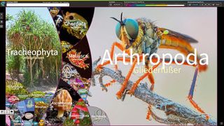 Die Startansicht der interaktiven Karte Lifegate zeigt die Vielfalt des Lebens auf einen Blick. In alle Bereiche kann man reinzoomen und so bis auf die Artebene gelangen. (Bild: LifeGate von Martin Freiberg)