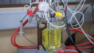 Präbiotische Galactooligosaccharide, kurz GOS genannt, werden im Nebenprodukt Molke hergestellt. (Bild: Sascha Perten)