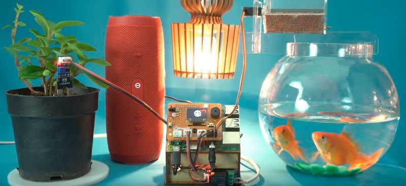 GraspIO Cloudio: Füttern Sie die Fische sprachgesteuert und kontrollieren Sie, ob die Pflanze ausreichend Wasser hat. (Bild: Graspio)