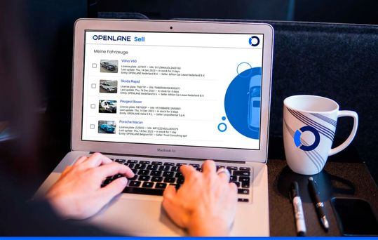 OPENLANE Self-Service-Portal(Bild:  OPENLANE)