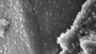 Akkualterung: Beläge aus zersetztem Elektrolyt auf Graphitpartikeln der Anode eines NMC-Lithiumionen-Akkus, der mit hoher Ladespannung (4,6 V) geladen wurde+ (Bild: Irmgard Buchberger / TUM)