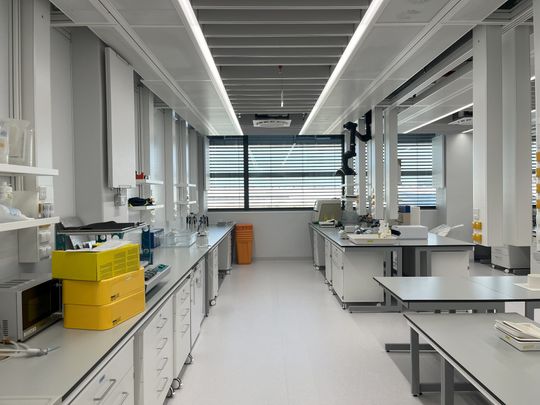 Blick in eines der neuen Labore aus dem „Labor der Zukunft“-Projekt in Wien.(Bild:  Lorenz Consult)