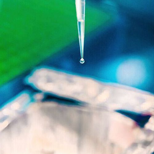 Kaust researchers observed that ‘pendant’ droplets formed from hydrophobic capillaries respond to uniform electric fields. Kaust researchers observed that ‘pendant’ droplets formed from hydrophobic capillaries respond to uniform electric fields.
