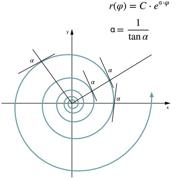 Die Natur zum Vorbild: Neben Evolvente und Zykloide ist die logarithmische Spirale eine neue Funktion im Getriebebau. (Bild: Wittenstein)