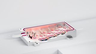 Querschnitt eines Pump Semiconductor Lasersystems, Klebstoff zu Illustrationszwecken magenta gefärbt. (Bild: Delo)