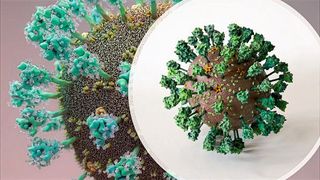 Das von der „Coronavirus Structural Task Force“ entwickelte Virusmodell zeigt u. a., dass das Virus nicht ganz rund ist. (Coronavirus Structural Task Force/K. Nolte und SciStyle.com/ T. Splettstößer)