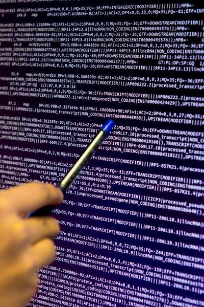 Mit einem Sequenzierungsdatensatz als „Goldstandard“ und Richtlinien zur bioinformatischen Auswertung wollen Forscher weltweit einheitliche Standards bei der Suche nach krebsrelevanten Mutationen schaffen. (Bild: © Centro Nacional de Analisis Genómico, (CNAG-CRG))