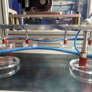 Auch ber der Herstellung von Kunststoffverpackungen kommt man heute um eine effiziente Automatisierung nicht mehr herum. Auch dabei helfen die Wittmann-Spezialisten.(Bild:  Wittmann Group)