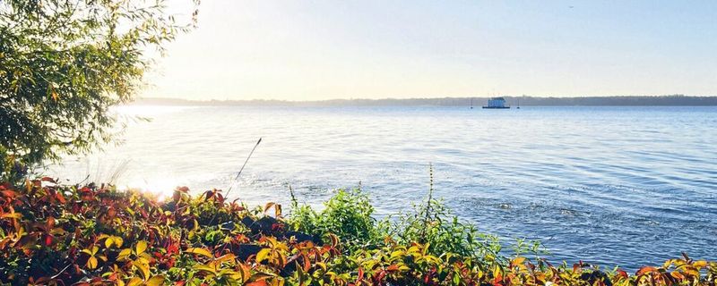 Berliner Müggelsee mit der Messstation des IGB(Bild:  Angelina Tittmann)