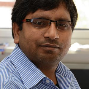 (Schimmelpfennig/CAU)