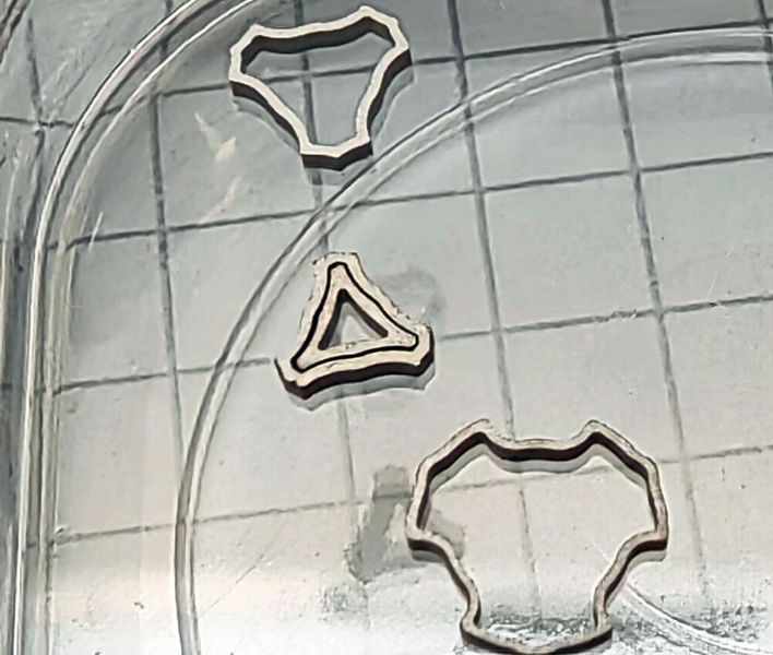 Microcomposants pour appareils médicaux découpés avec l'installation Synova. (Source : Klaus Vollrath)