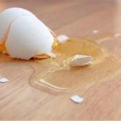 Die Welt atmet auf! Es galt seit Langem die These, dass Eier, wenn sie seitlich auf dem Boden aufprallen, eher zerbrechen, als wenn sie mit einem ihrer Enden aufschlagen. Es brauchte nun ein Team am MIT in Cambridge, um der Welt zu offenbaren, dass das reiner Irrglaube war ... (Bild: K. Bender)