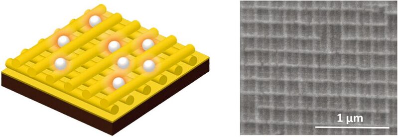 Mithilfe eines Gitters aus Gold-Nanodrähten verstärken Forscher das Raman-Signal und können so Nanoplastik besser detektieren. Die Grafik links veranschaulicht das Goldgitter mit Polystyrol-Partikeln. Rechts ist eine Rasterelektronenaufnachme des Gitters gezeigt.