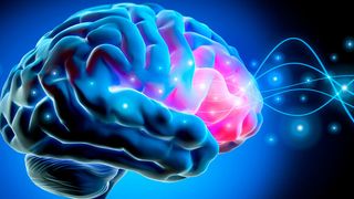 Die Lernmethoden des Deep Learnings funktionieren ähnlich wie das menschliche Gehirn. Der Sicherheitshersteller Deep Instinct nutzt die Technologie für eine eigene Lösung. (Bild: peterschreiber.media - stock.adobe.com)