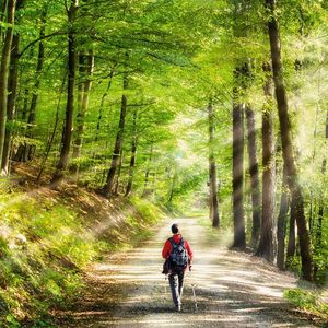 (© eyetronic - adobe.stock.com)