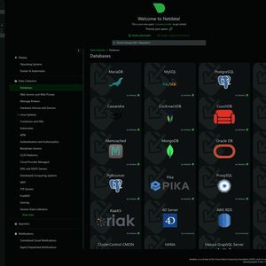 Neben Betriebssystemen kann Netdata über seinen Agenten auch Metriken aus Datenbanken und anderen Systemen wie Active Directory auslesen.(Bild:  Joos - Netdata Inc.)
