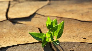 Lanxess stellt im dürregeplagten Kalifornien Membrantechnik zur Wasseraufbereitung vor. (© Viktor - Fotolia)