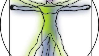 Der Mensch als experimentelles Modell (Symbolbild) (Pixabay/OpenClipart-Vectors (gemeinfrei))