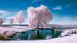 In Infrarot sieht die Welt anders aus, wie dieses Falschfarbenbild einer Landschaft verdeutlicht (Symbolbild). (©paulacobleigh - stock.adobe.com)