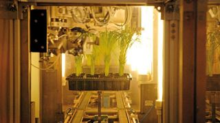 Primär-Screening: In drei Spritzkabinen werden die Pflanzen vollautomatisch mit der vorgegebenen Dosis des zu testenden Präparats besprüht, um eine Wirkung festzustellen. (Archiv: Vogel Business Media)