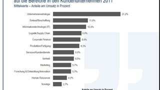 Eindeutig: Mit der Strategieberatung können Consultants noch am meisten Umsatz erwirtschaften. Die Logistik landet auf dem vierten Platz. (Bild: Lünendonk)