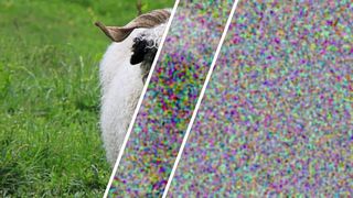 The same sheep image, encrypted with conventional random numbers (center) and with the ETH researchers' certified random numbers (right). With perfect randomness, only statistical noise remains visible. (Image:ETH Zurich)