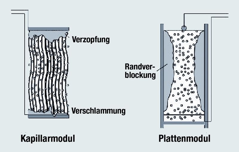 Betriebsprobleme bei getauchten Membranmodulen  (Bild: Microdyn-Nadir)