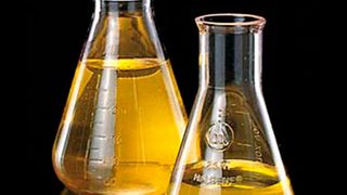 89194014 (Bild: RCT)