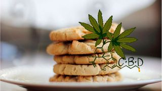 Das Europäische Schnellwarnsystem RASFF erfasste 2023 vermehrt Cannabinoide, etwa in Süßwaren wie Gummidrops, Keksen, Honig und Softdrinks. (Bild: frei lizenziert)