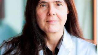 Evamarie Hey-Hawkins, Chemie-Professorin an der Universität Leipzig, leitet den Forschungsverbund Smart Inorganic Polymers (SIPs), der sich mit anorganischen Polymeren mit smarten Eigenschaften befasst. (Christian Hüller/Universität Leipzig)