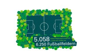 In Peru und Papua-Neuguinea hat Prologis bereits dazu beigetragen, dass 5058 ha Regenwald geschützt werden – das entspricht einer Fläche von etwa 6250 Fußballfeldern. (Prologis)