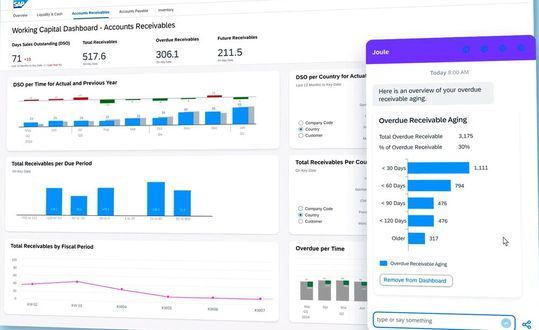 SAP stellt Werzeuge bereit, mit denen sich auch im Hybridbetrieb die Kosten im Blick halten lassen. (Bild:  SAP/ Thomas Joos)
