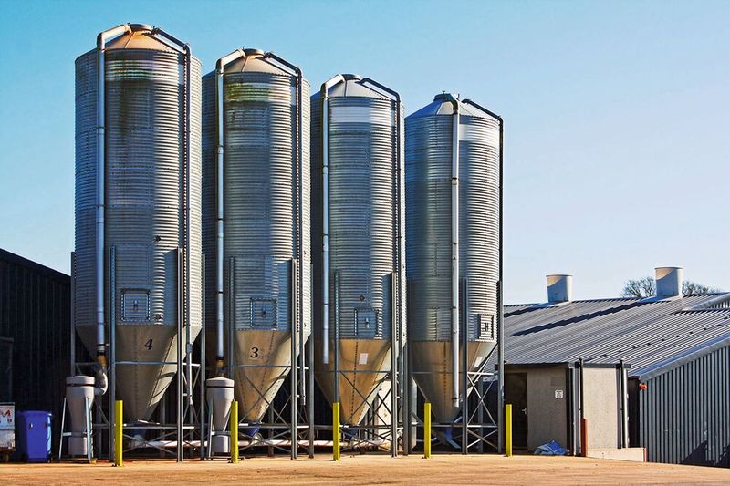 Wird der Füllstand in Silos online kontrolliert, lässt sich die Logistik bedarfsorientiert steuern.  (Bild: Wika stocksolutions - stock.adobe.com)