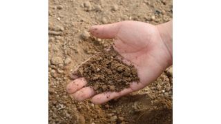 A high-resolution global soil salinity map generated from this research provides an essential tool for scientists, policymakers, and farmers to address soil salinity issues effectively. (Source: free licensed)