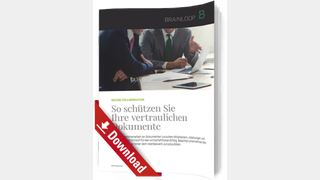 Whitepaper Cover: Brainlopp/WP