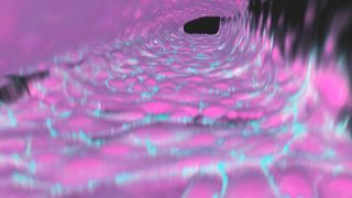 3D-Rekonstruktion eines im Labor hergestellten künstlichen Hirngefäßes mittels Fluoreszenzmikroskopie. Jedes Hirngefäß besteht aus einzelnen Endothelzellen (in magenta) die über spezielle Zellkontakte, den so genanten „tight-junctions (türkis) dicht miteinander verbunden sind. (Bild: DZNE / LAT)