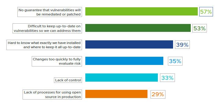 Abbildung 6: Welche Bedenken haben Sie hinsichtlich der Sicherheitsrisiken von Open-Source-Software, die in Ihrer Produktionsumgebung eingesetzt wird? (Bild: VMware)