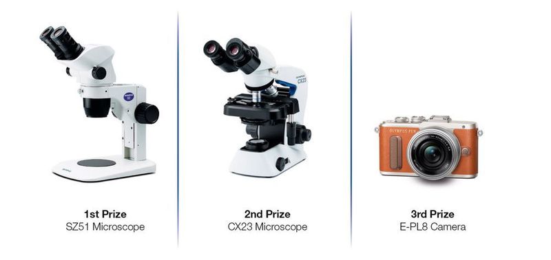 1. Prize: SZ51 Zoom Stereomicroscope
2. Prize: CX23 Biological Microscope
3. Prize: PEN E-PL8 Interchangeable Lens Camera (Olympus)