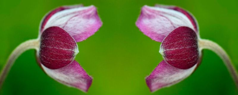 Der clone-Befehl erzeugt in Git eine exakte lokale Kope eines zentralen Repositories. Der clone-Befehl erzeugt in Git eine exakte lokale Kope eines zentralen Repositories.