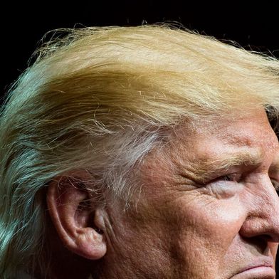 Donald Trump hält sich zwar für sehr mutig, weil er die massiven Zölle eingeführt hat. Doch ruderte er jetzt wegen der Panik im Aktiengeschehen ein Stück zurück. Schuld seien aber die „anderen“. (Bild: Knettelstein)