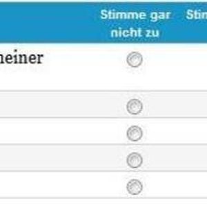 Musterfragen aus dem DISG-Fragebogen.